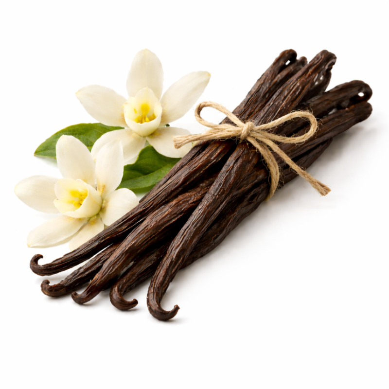 바닐라 앱솔루트