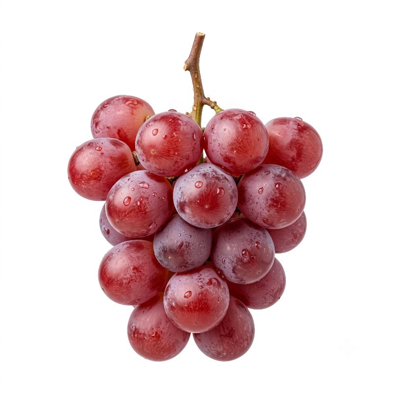 포도