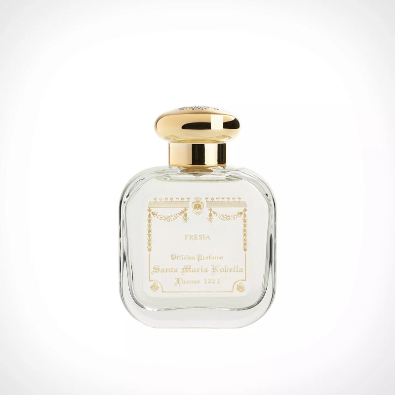 프리지아 이미지 1