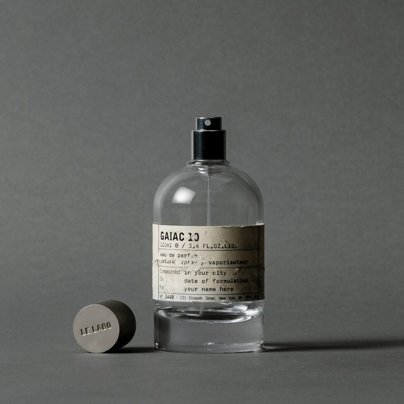 가이악 10 이미지 1