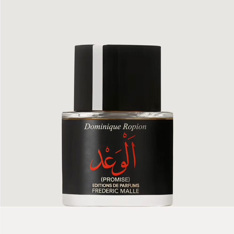 프로미스 이미지 1