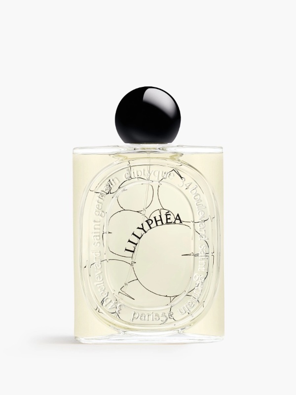 릴리아 이미지 1