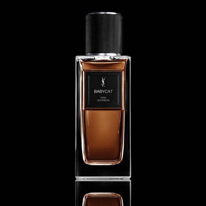 베이비캣 이미지 1