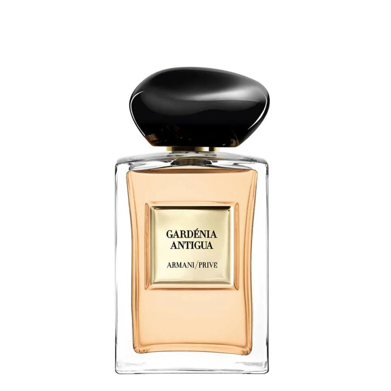 가드니아 안티구아 이미지 1