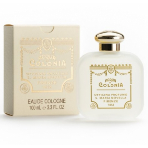 버베나 이미지 1