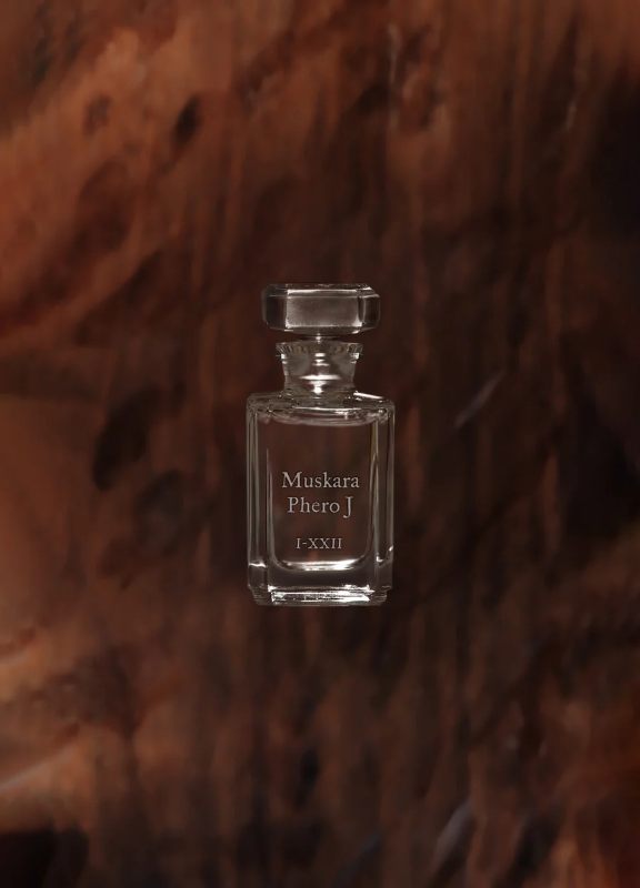 무스카라 페로 제이 이미지 1