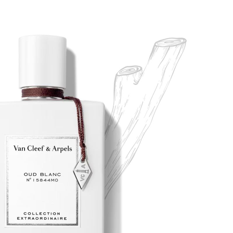 오드 블랑 이미지 2