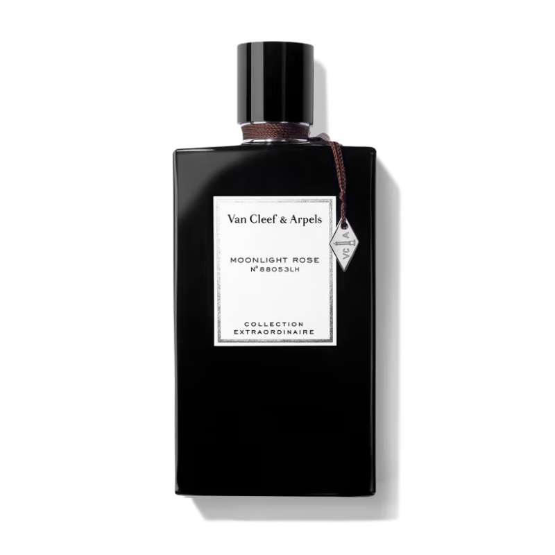 문라이트 로즈 이미지 1